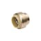 Bk Products B&K Proline Push to Connect 1/2 in. PTC Brass Cap 6633-003 - alternate 2